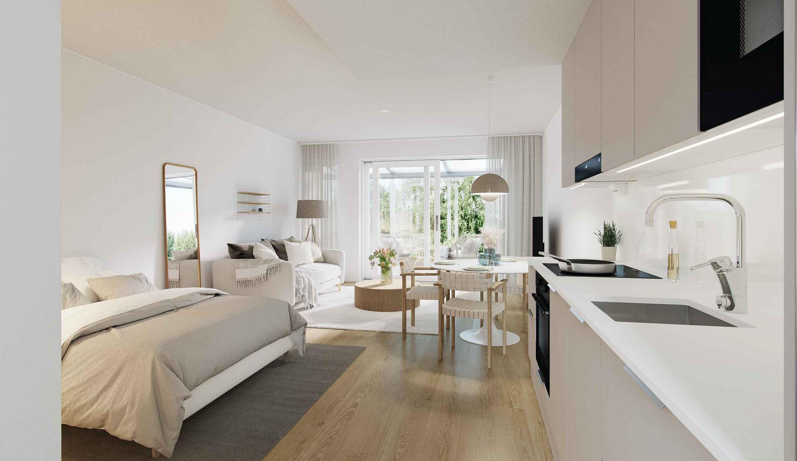 Havainnekuva asunnosta