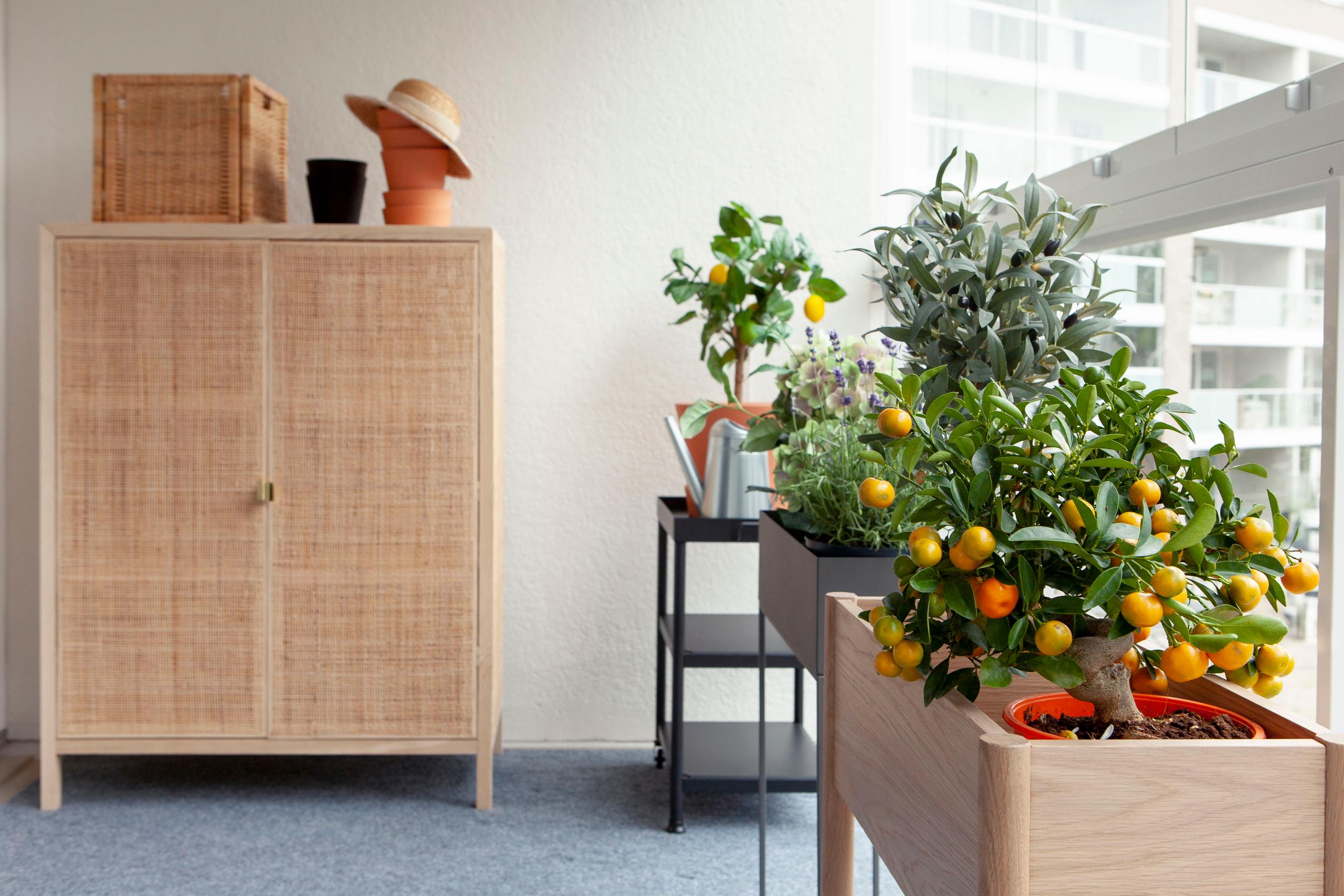 Kuvituskuva JM Suomi