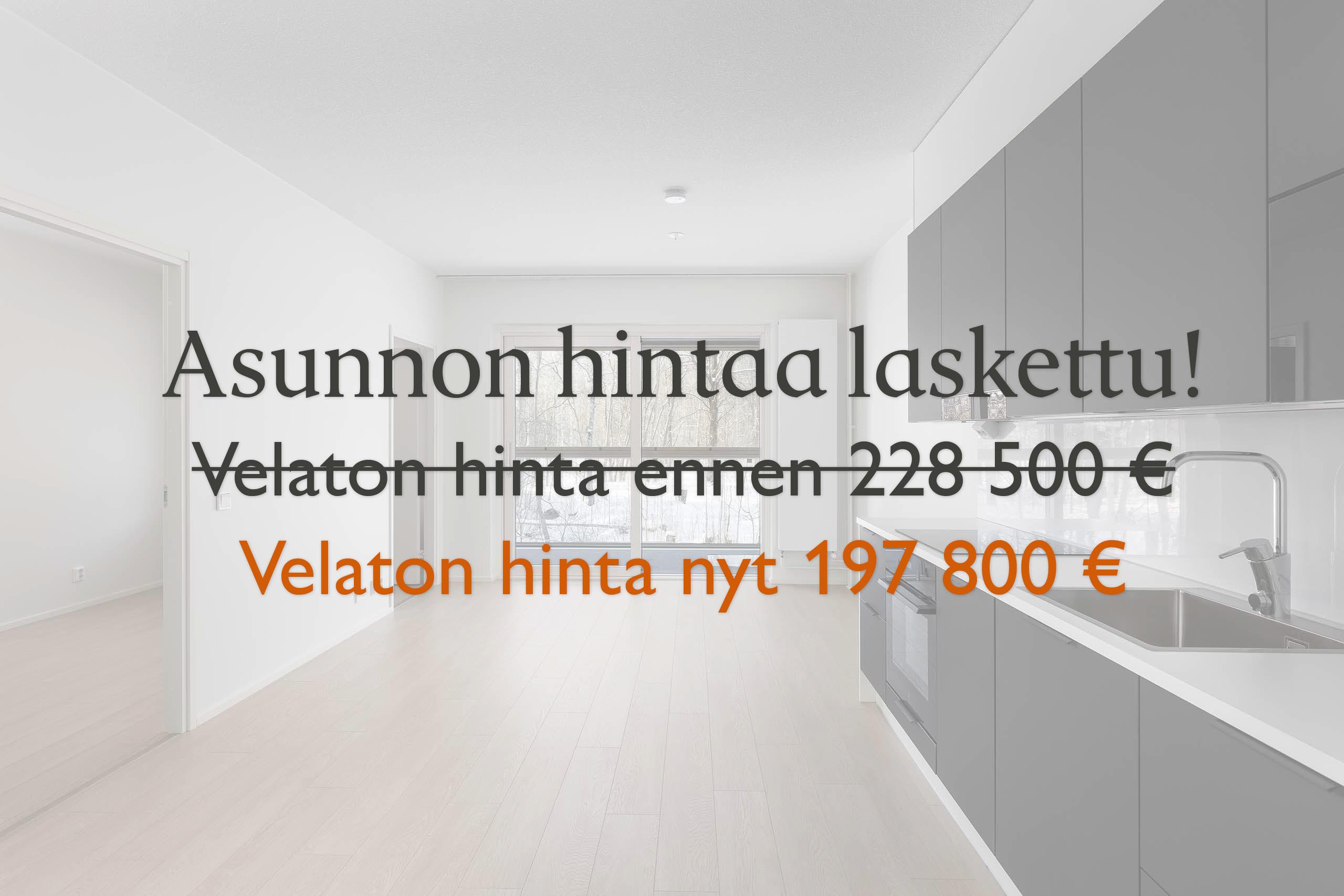 Asunnon velatonta hintaa laskettu