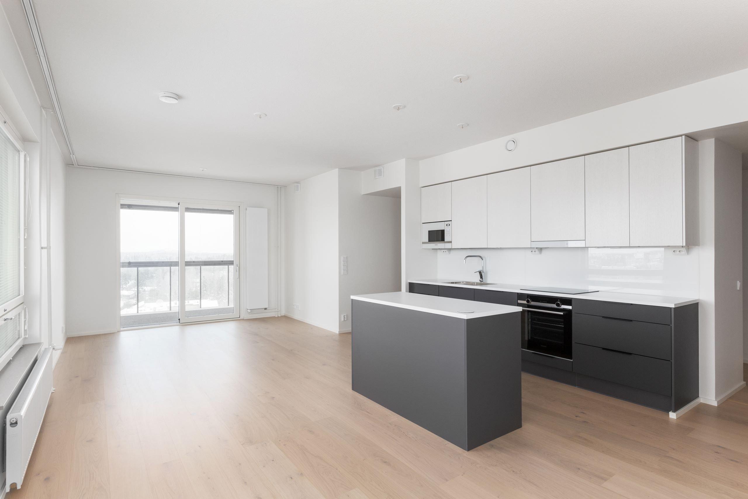 Asunnon keittotila ja olohuone