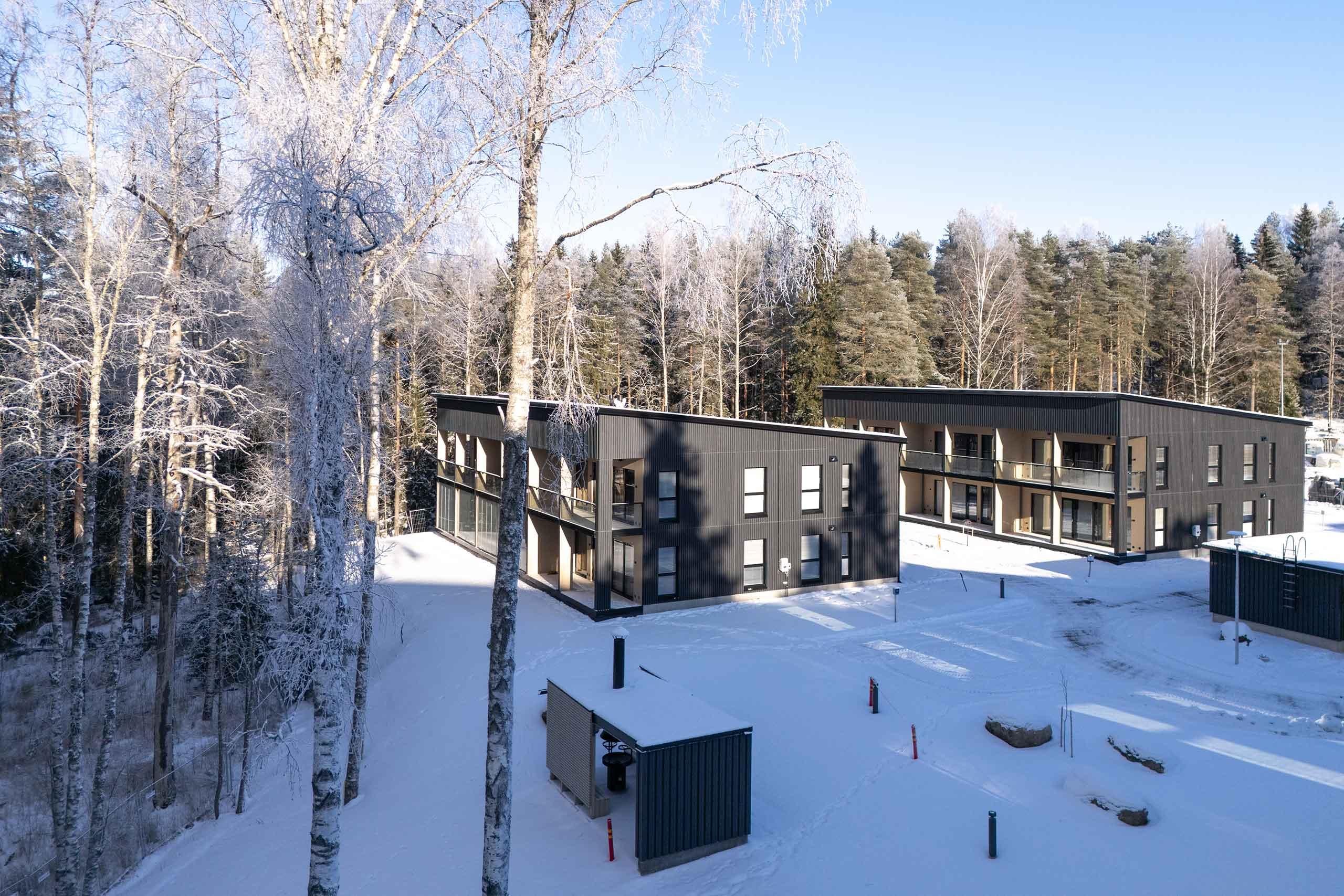 Asunto Oy Tesomajärven Villat talvella 2026