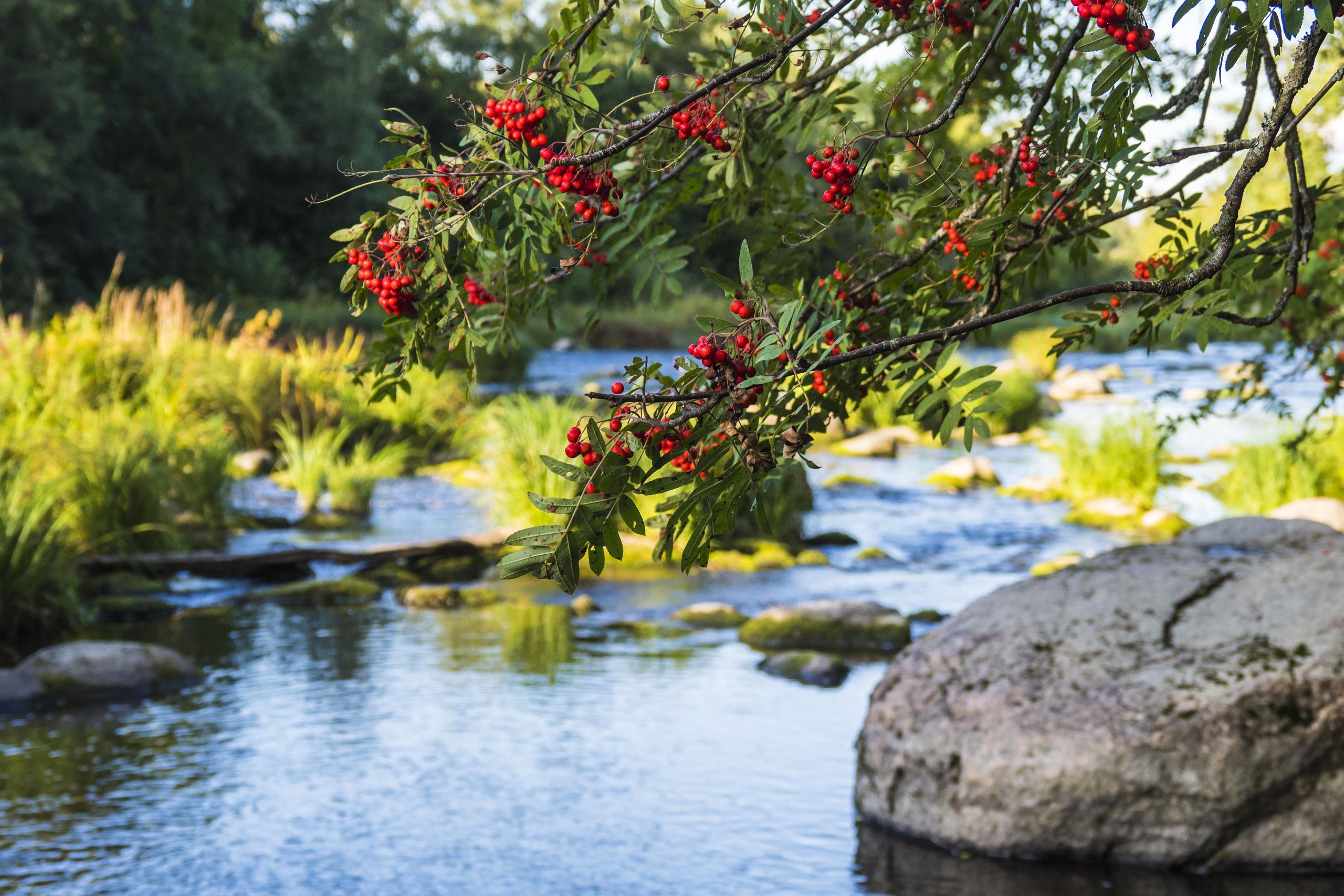JM Suomi - Uudiskohteet ja myytävät asunnot Vantaa