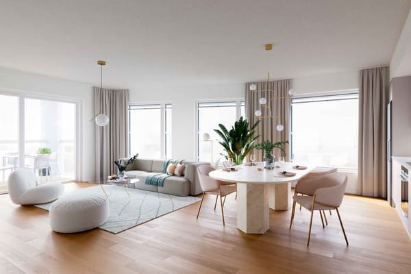 Havainnekuva Halkopiipunkallion asunnosta