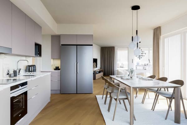 Havainnekuva Halkopiipunkallion asunnosta