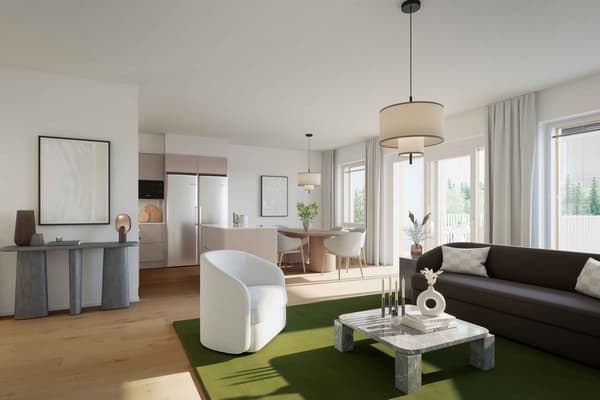 Havainnekuva asunnon olohuoneesta ja keittotilasta