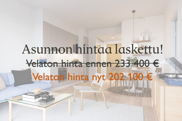 Asunnon velatonta hintaa laskettu