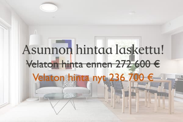 Asunnon velatonta hintaa laskettu
