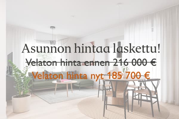 Asunnon velatonta hintaa laskettu