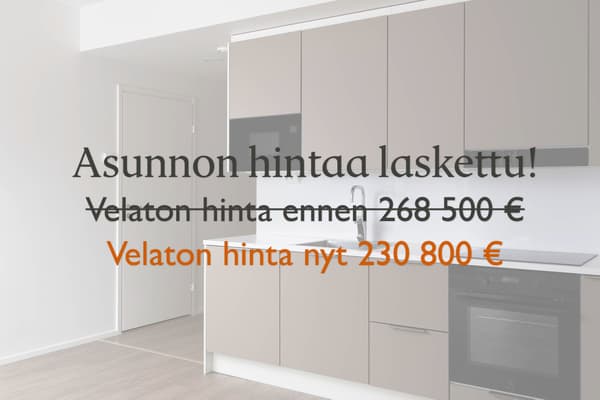 Asunnon velatonta hintaa laskettu