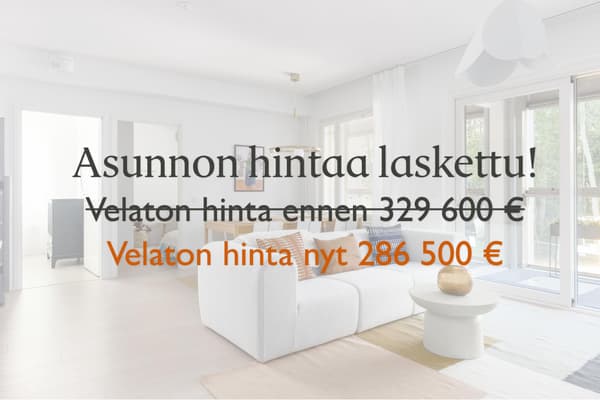 Asunnon velatonta hintaa laskettu