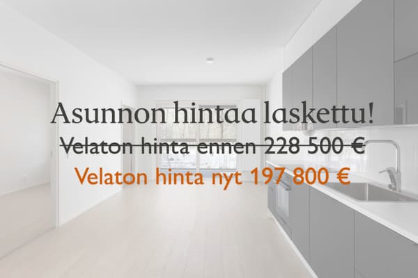 Asunnon velatonta hintaa laskettu