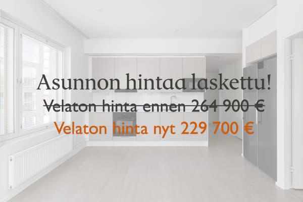 Asunnon velatonta hintaa laskettu