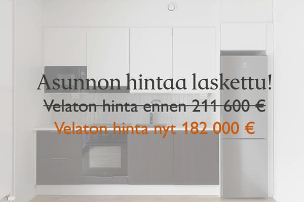 Asunnon velatonta hintaa laskettu