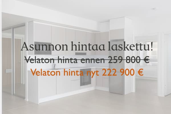 Asunnon velatonta hintaa laskettu