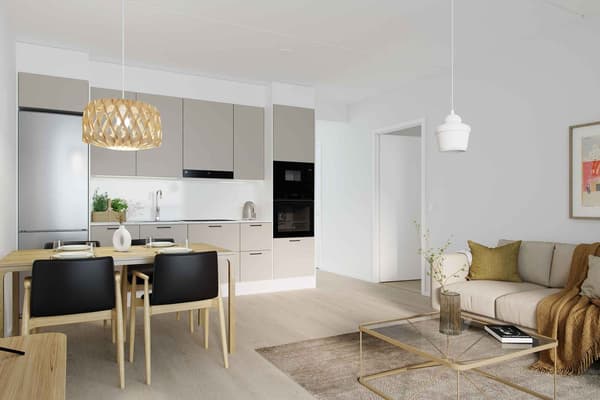 Havainnekuva asunnon keittotilasta