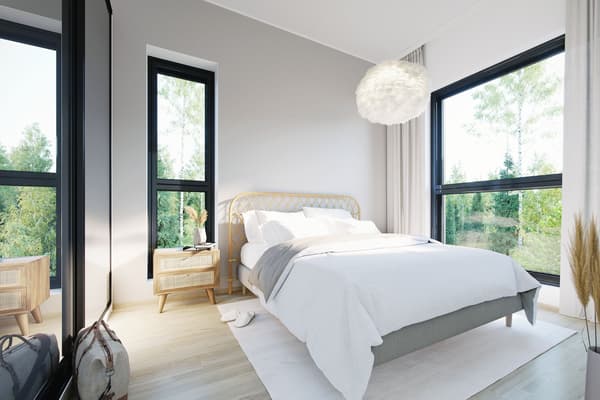 Havainnekuva Tesomajärven Villojen asunnosta