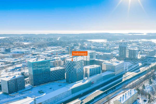 Asunto Oy Helsingin Vaskiseppä