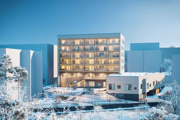 Asunto Oy Helsingin Fillaristi keskuspuiston puolelta