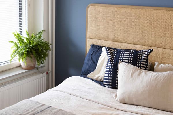 Viherkasvit luovat viihtyisyyttä ja parantavat kodin ilmankosteutta.